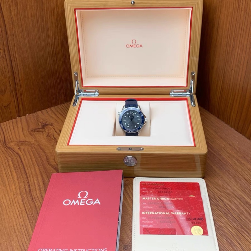 Omega Seamaster Diver 300-1