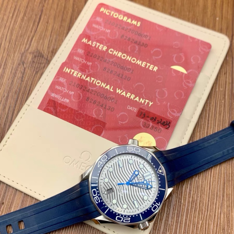 Omega Seamaster Diver 300-6