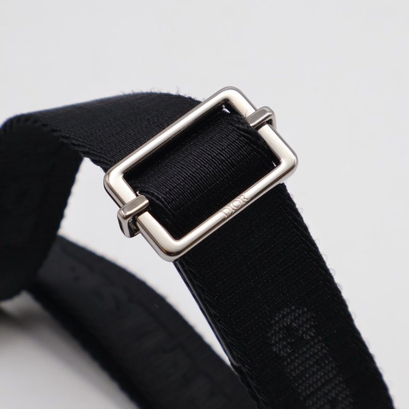 DIOR Oblique老花相機包-13