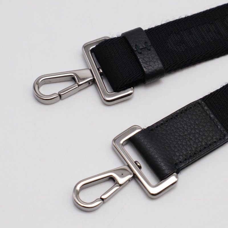 DIOR Oblique老花相機包-14