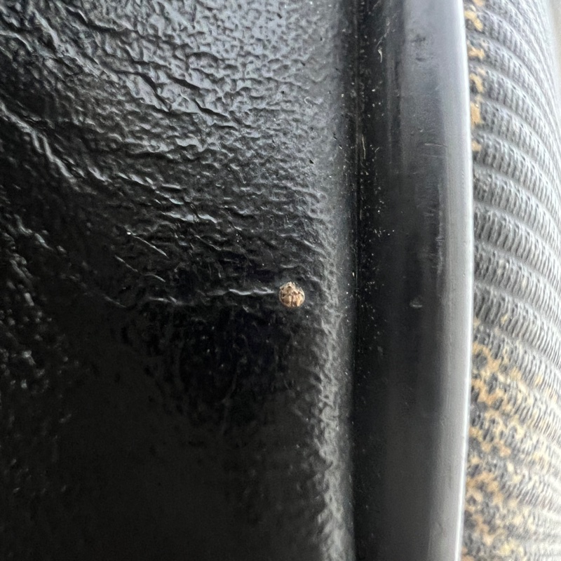 Fendi 經典 Pecan旅行包-15