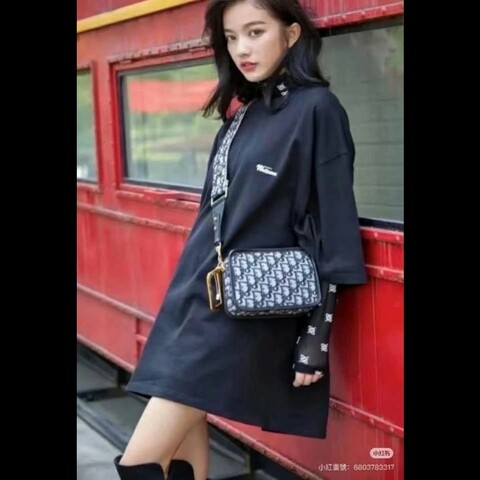 Dior經典老花相機包 手拿包