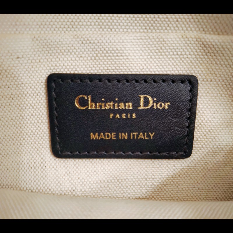 Dior經典老花相機包 手拿包-21