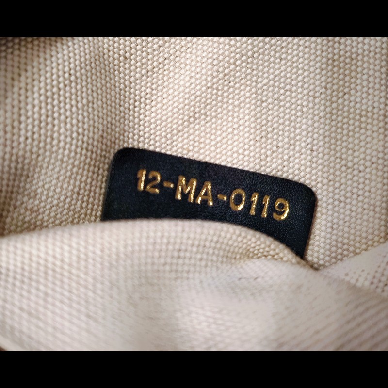 Dior經典老花相機包 手拿包-22