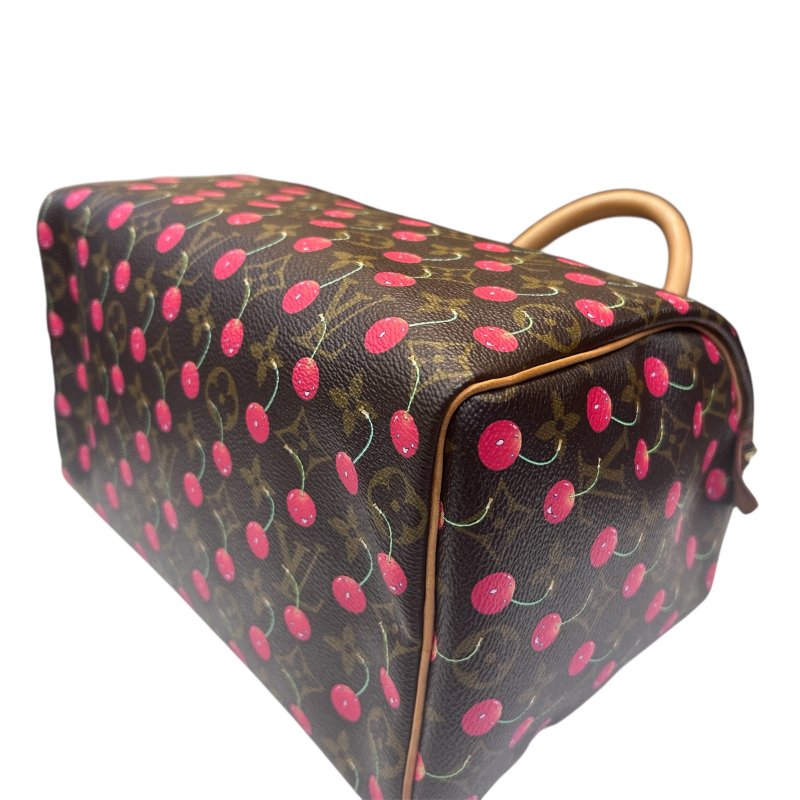 LV字紋櫻桃Speedy-25手提包-5