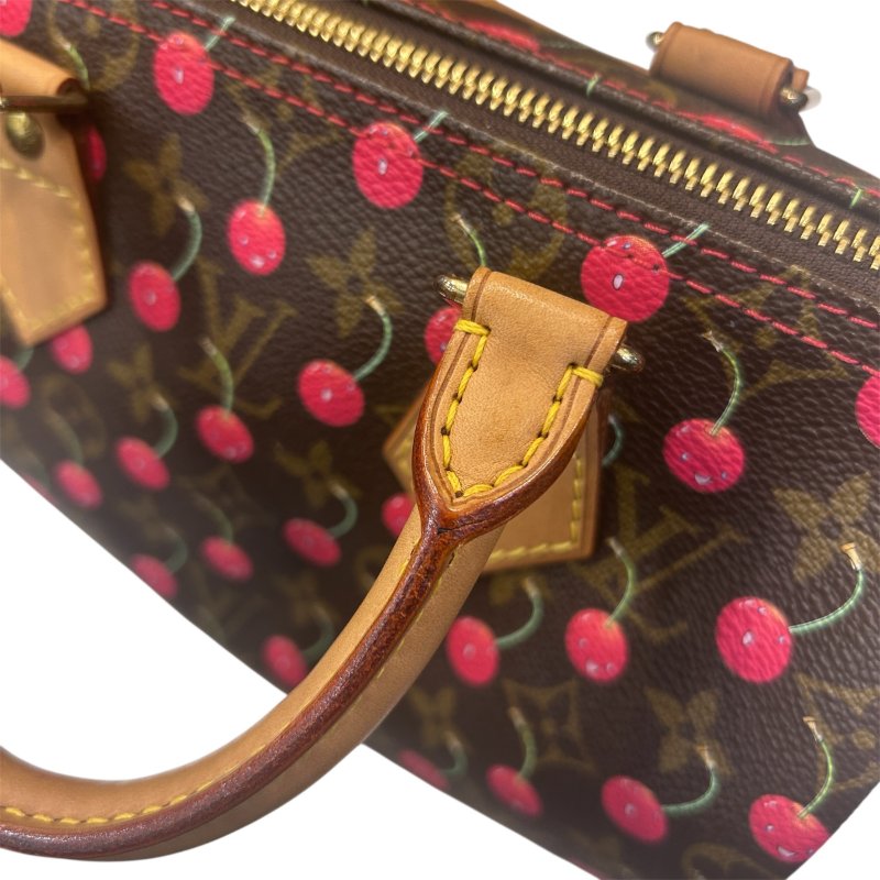 LV字紋櫻桃Speedy-25手提包-10