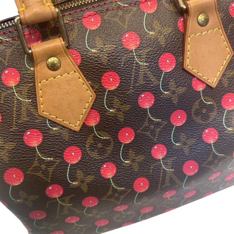 LV字紋櫻桃Speedy-25手提包-11