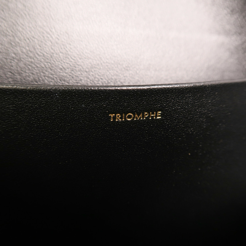 CELINE 牛皮皮革Triomphe金扣肩背袋-6