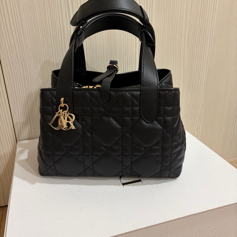 Dior Toujours 小型包-0
