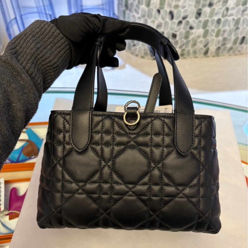 Dior Toujours 小型包-1