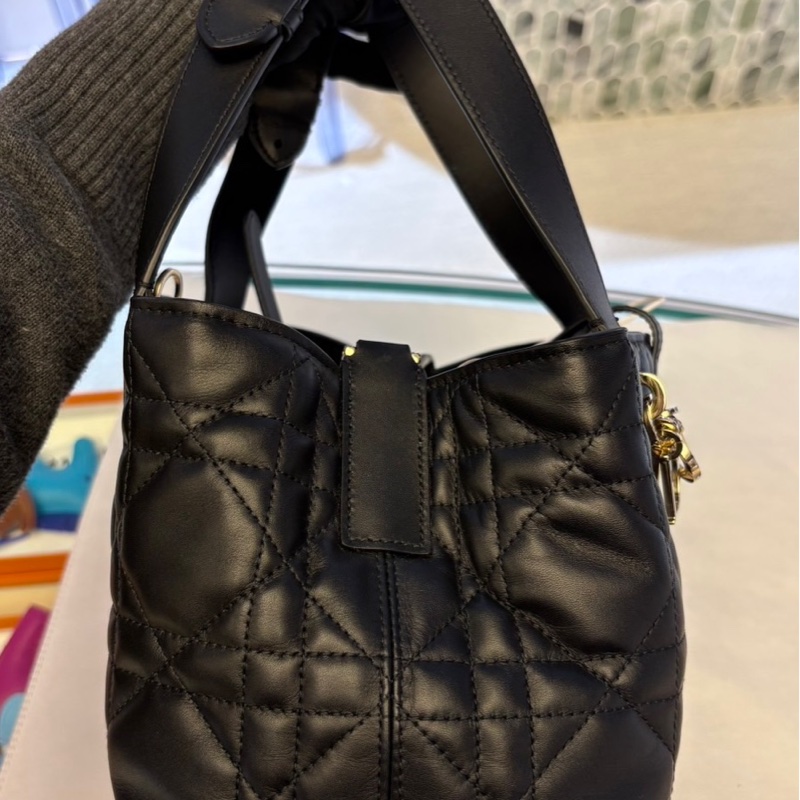 Dior Toujours 小型包-2