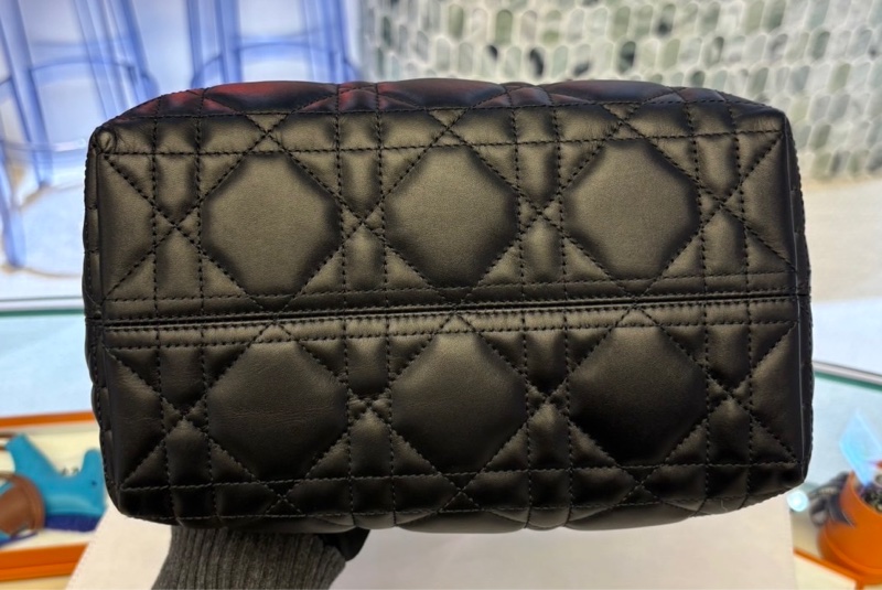 Dior Toujours 小型包-3