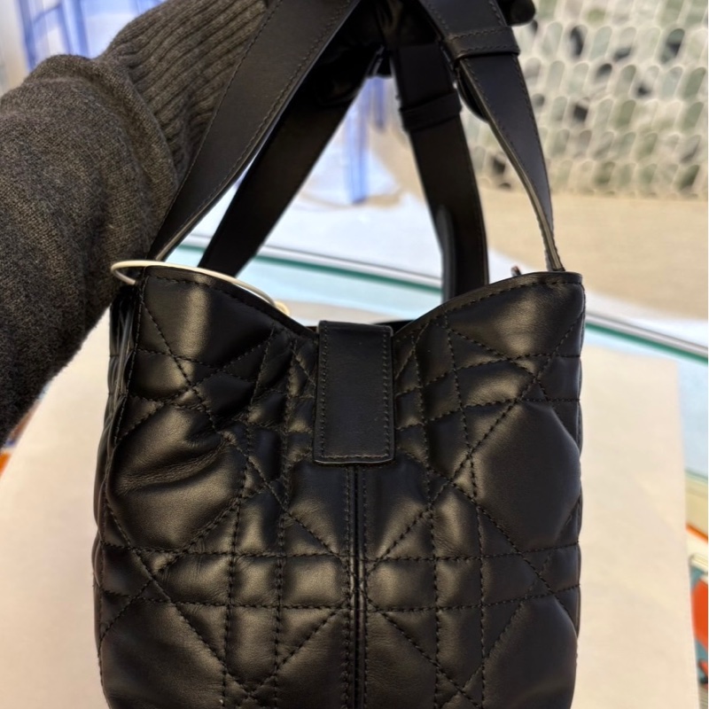 Dior Toujours 小型包-4