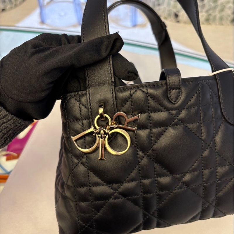 Dior Toujours 小型包-5