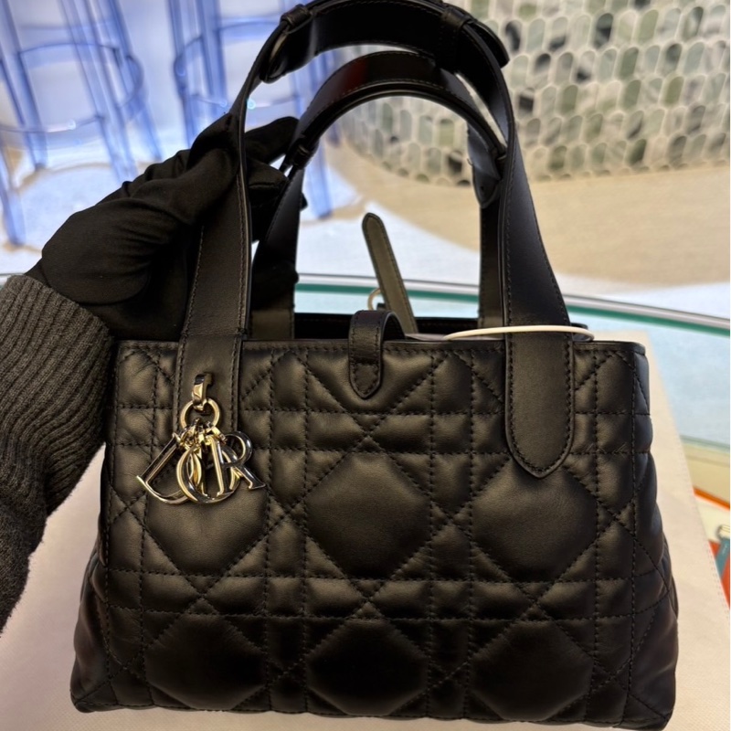 Dior Toujours 小型包-8