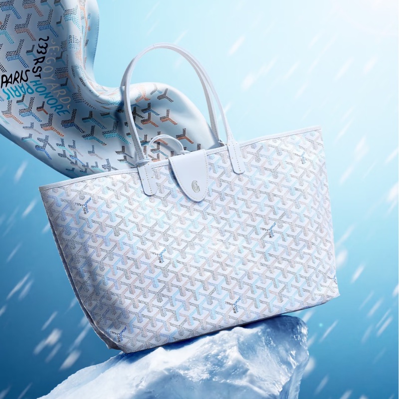 Goyard Louis pm 2026限量色 冰川藍-3