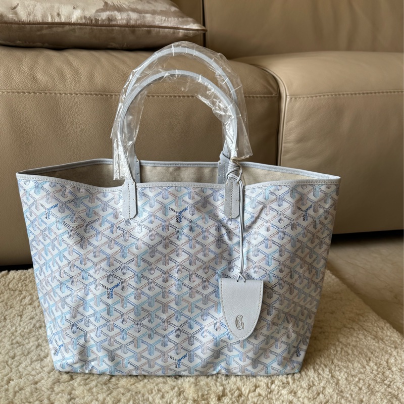 Goyard Louis pm 2026限量色 冰川藍-7