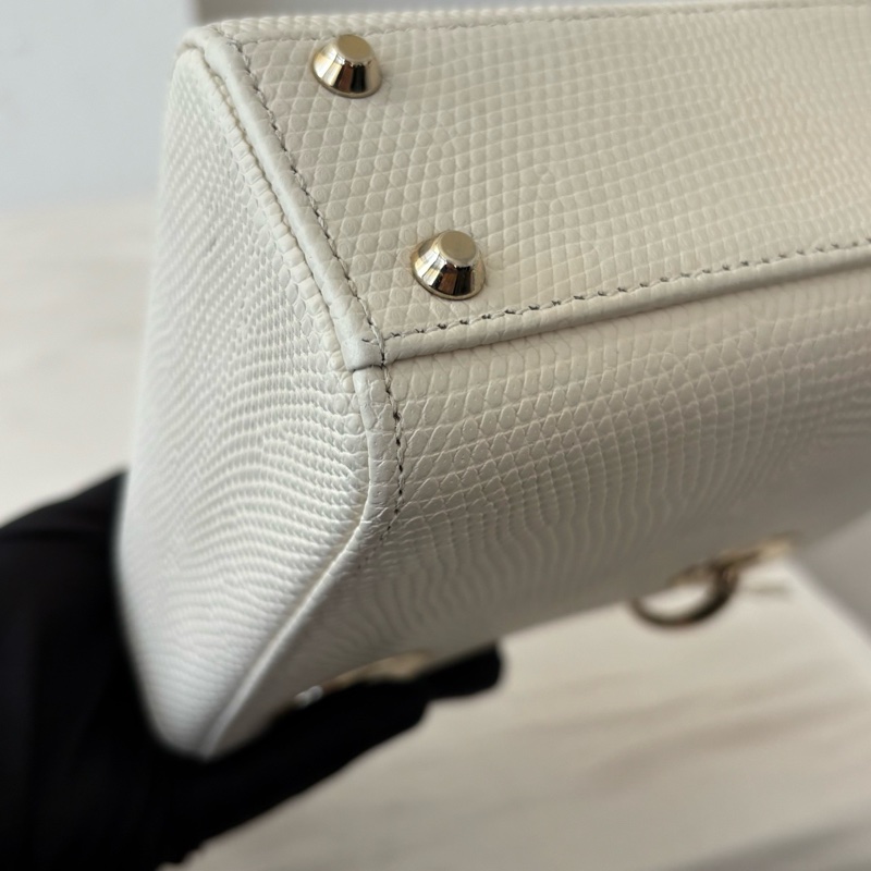 【98新 ✨ 全網最低價！】 Dior 稀有皮戴妃三格 蜥蜴皮 白雪公主 專櫃50萬 98新（下單前先詢問庫存❗️）-5