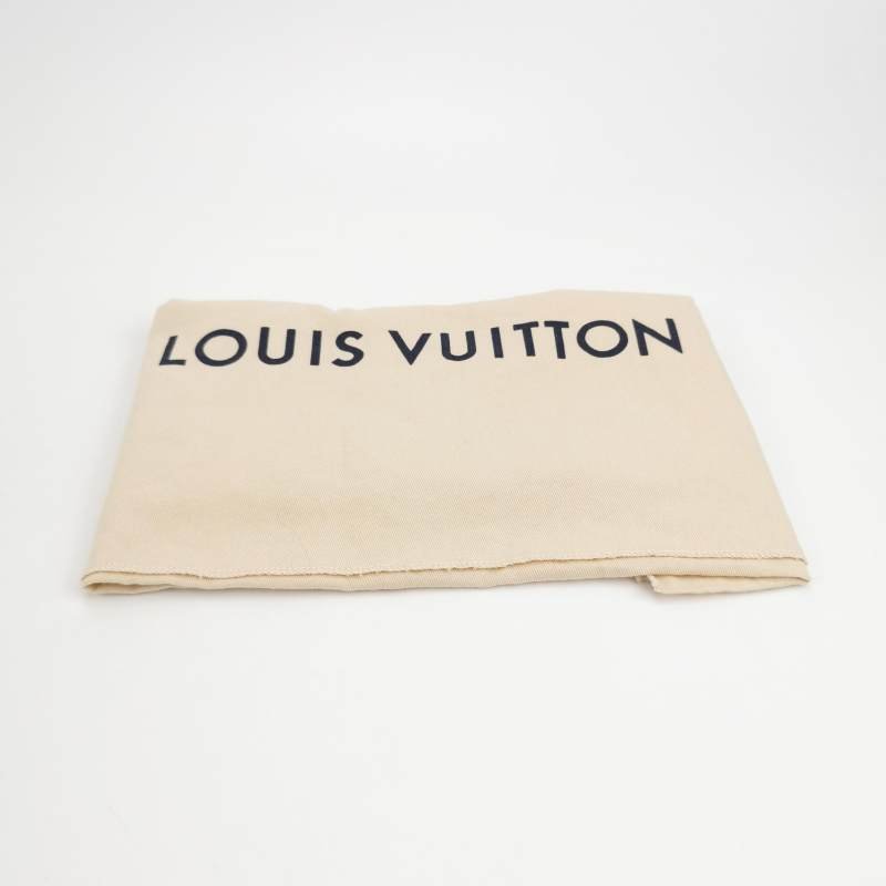 Louis Vuitton(LV) Backup牛皮純色老花壓紋雙肩包晶片款-8