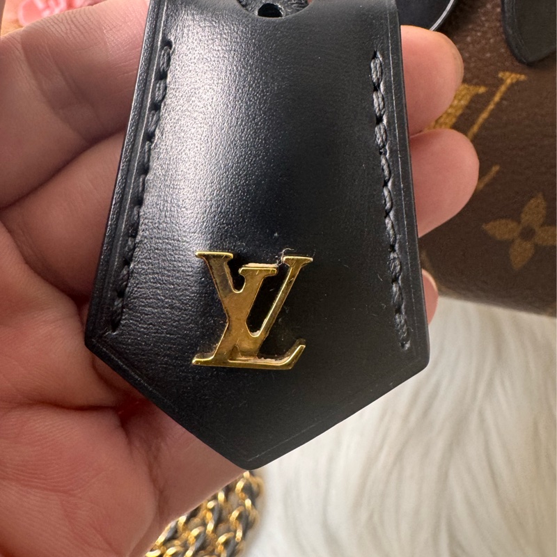 Louis Vuitton LV M45165-29