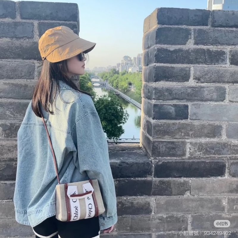 Chloe Woody tote - mini棕-1