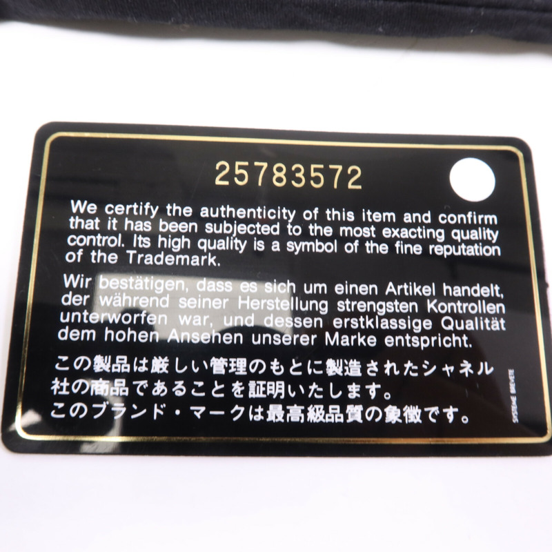 CHANEL 牛皮皮革Gabrielle Small鏈帶肩背袋-15