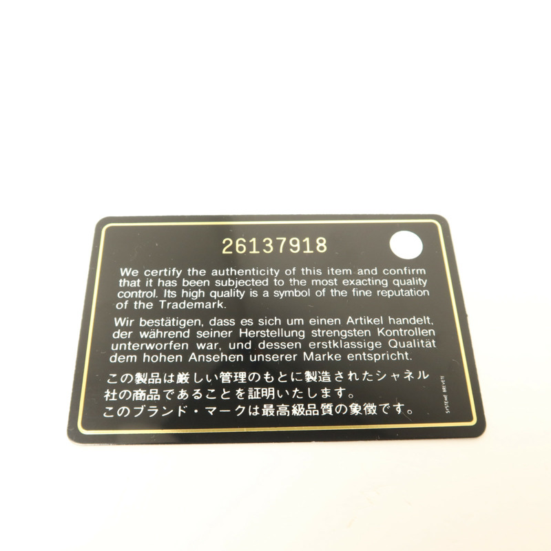 CHANEL 帆布Deauville銀扣手挽肩背兩用袋-9