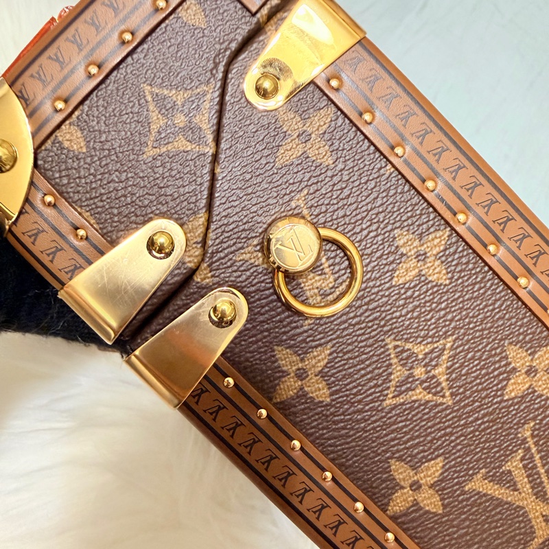 Louis Vuitton Camera Box-12