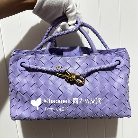BOTTEGA VENETA 小號横款Andiamo包包