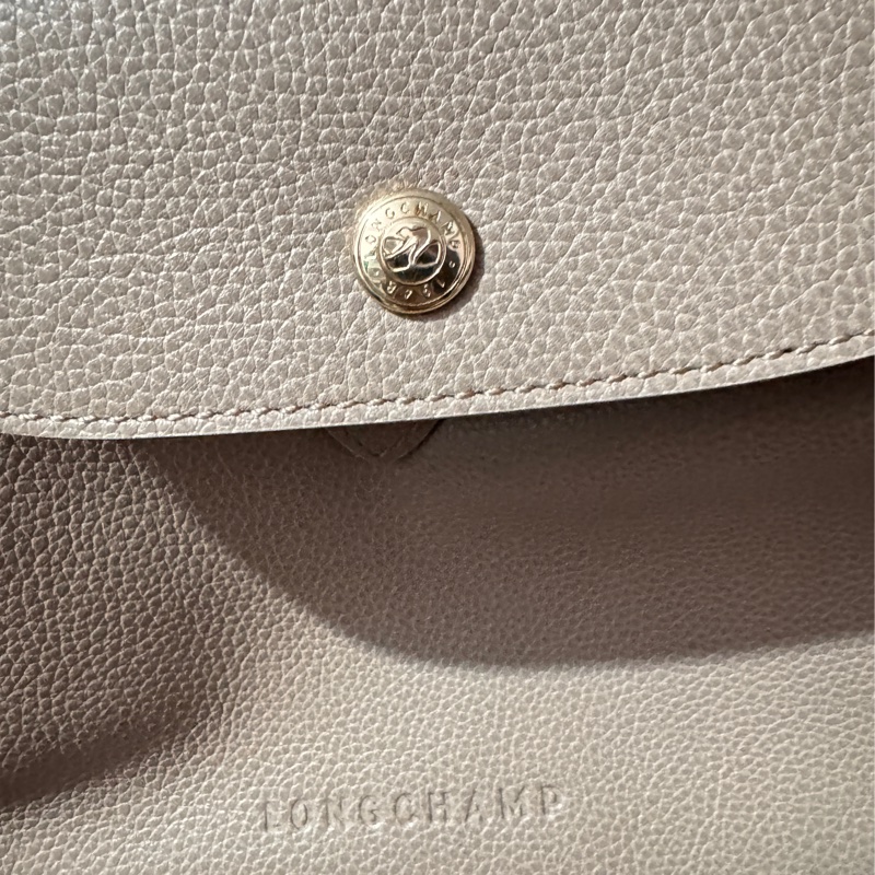 LONGCHAMP Le Foulonne 壓印字母LOGO牛皮釦式翻蓋束口後背包 大象灰-8