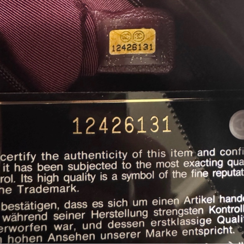 🍒CHANEL Camera Bag 黑色羊皮相機包2F260318-1-26