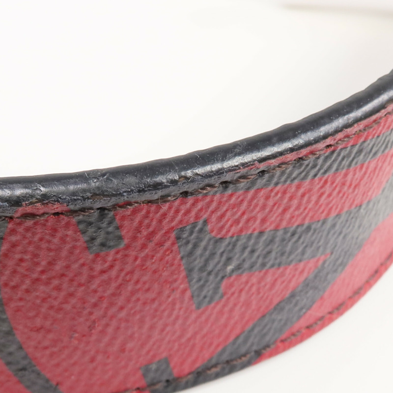 LOUIS VUITTON Monogram/Epi Shoulder Strap金扣肩帶-7