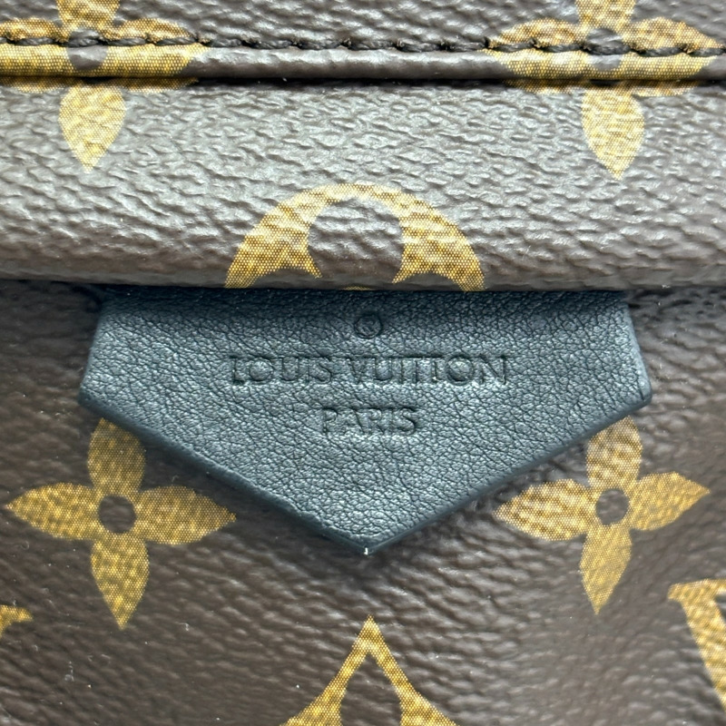 棕色 原花帆布 Palm Springs PM 後背包【LOUIS VUITTON LV 路易威登】 M41560-5