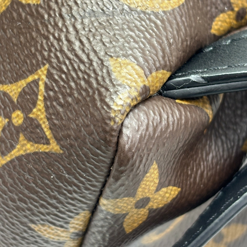 棕色 原花帆布 Palm Springs PM 後背包【LOUIS VUITTON LV 路易威登】 M41560-9