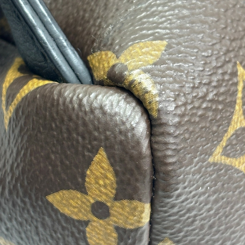 棕色 原花帆布 Palm Springs PM 後背包【LOUIS VUITTON LV 路易威登】 M41560-10