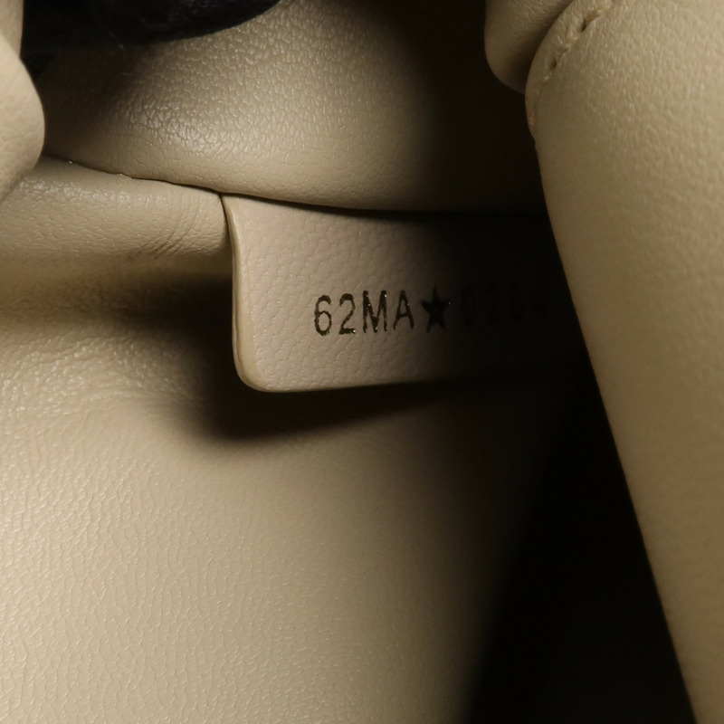 Dior 羊皮皮革Caro Backpack金扣背包-14