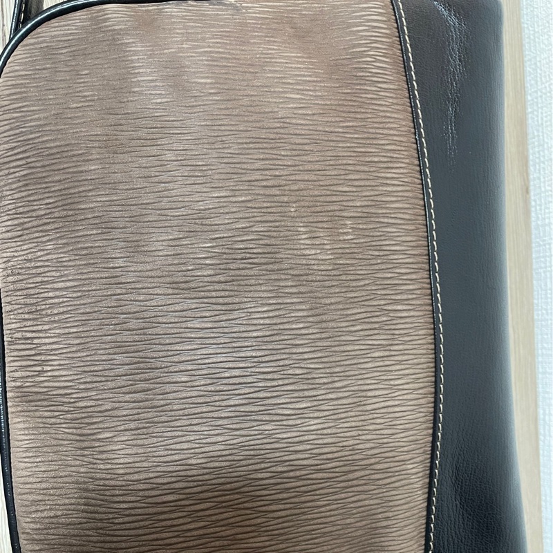 Loewe 栗子色金蛇骨斜背包-6