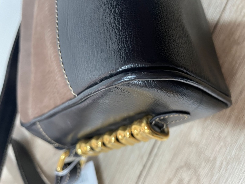 Loewe 栗子色金蛇骨斜背包-11