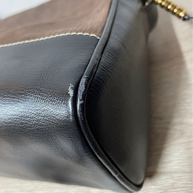 Loewe 栗子色金蛇骨斜背包-12