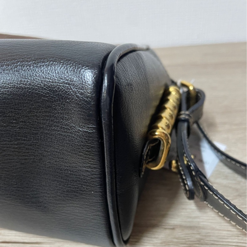 Loewe 栗子色金蛇骨斜背包-13