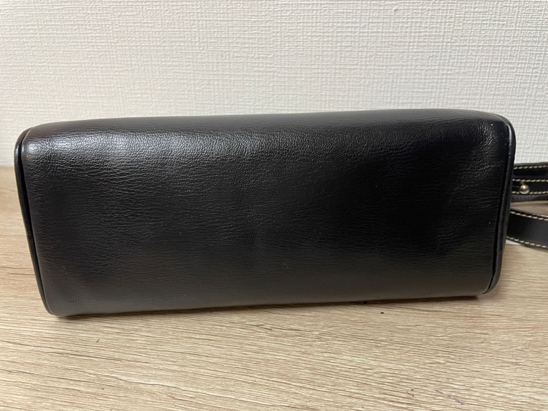 Loewe 栗子色金蛇骨斜背包-15