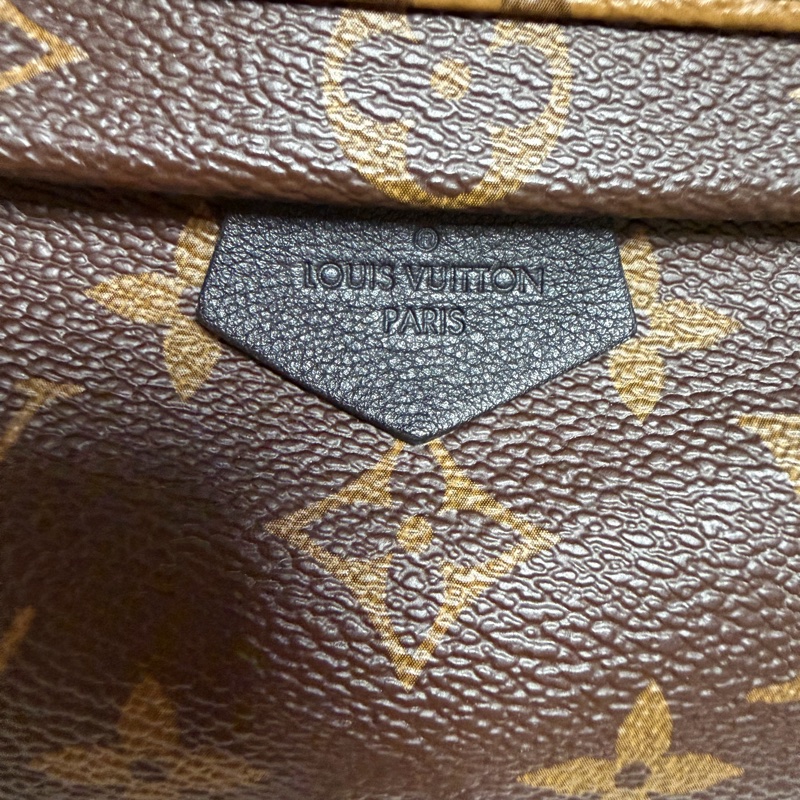 ▫️限量後背包的天花板▫️95新LV達芙妮限量小書包 雙色書包 後背包-4