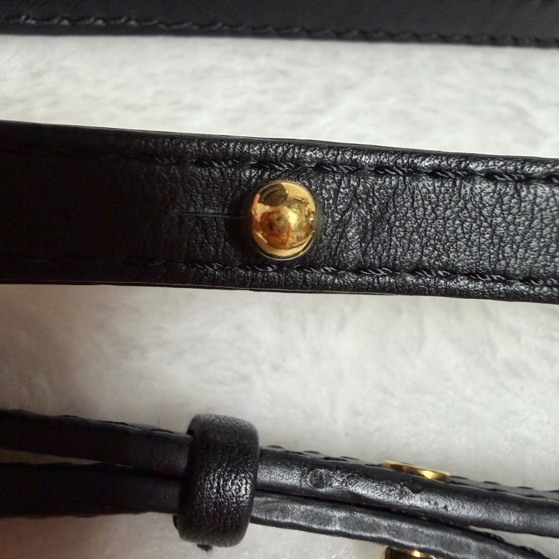 ▫️限量後背包的天花板▫️95新LV達芙妮限量小書包 雙色書包 後背包-22