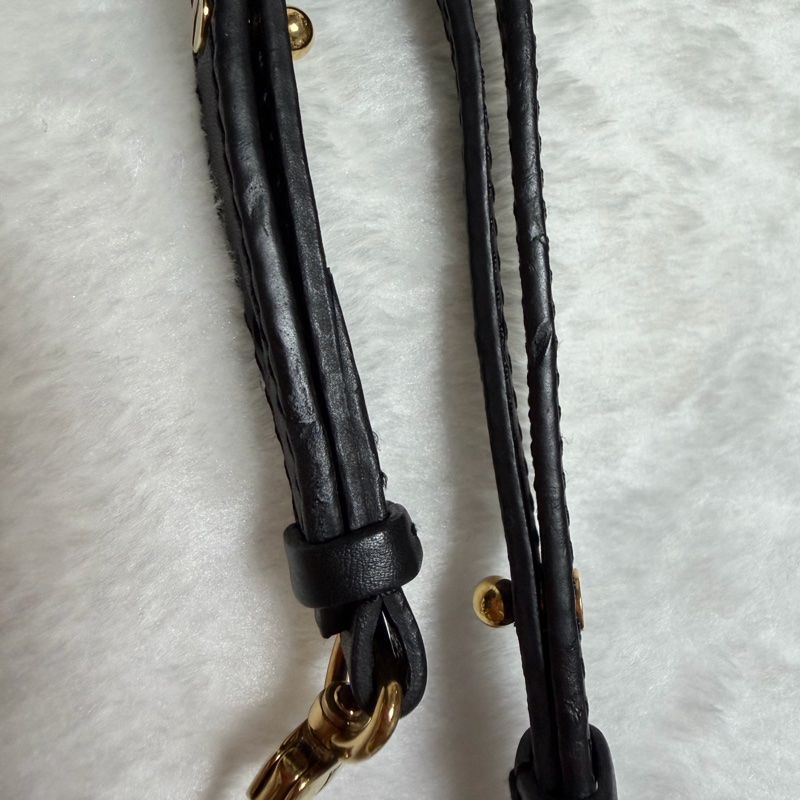 ▫️限量後背包的天花板▫️95新LV達芙妮限量小書包 雙色書包 後背包-36