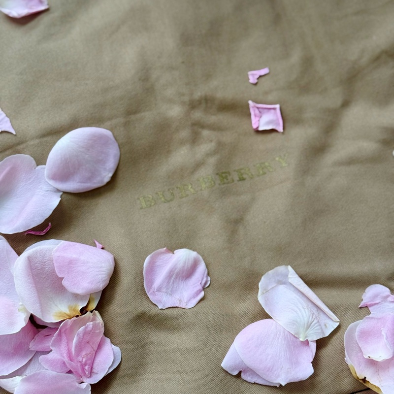 Burberry 乾燥玫瑰色斜背包💓-4
