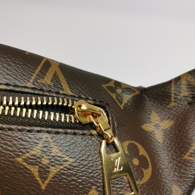 Louis Vuitton(LV)Bumbag植鞣老花Logo標誌腰包胸包晶片款-9