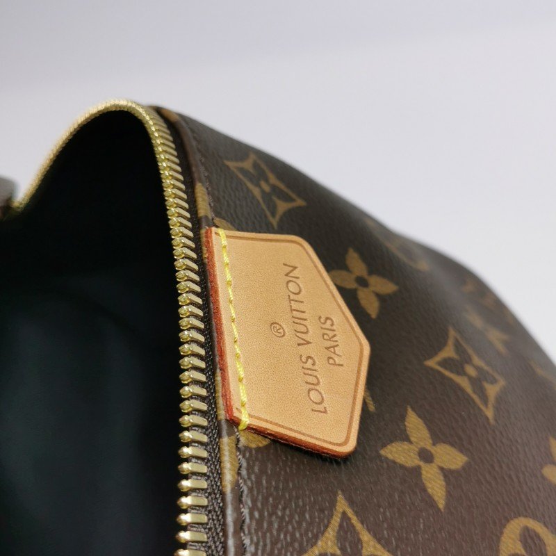 Louis Vuitton(LV)Bumbag植鞣老花Logo標誌腰包胸包晶片款-13