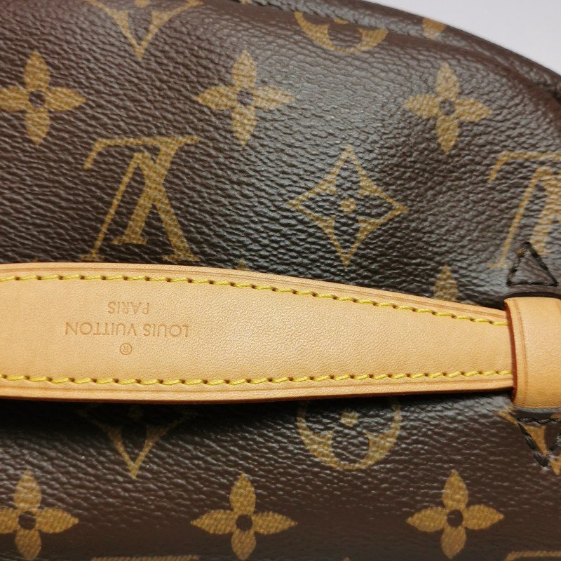 Louis Vuitton(LV)Bumbag植鞣老花Logo標誌腰包胸包晶片款-14