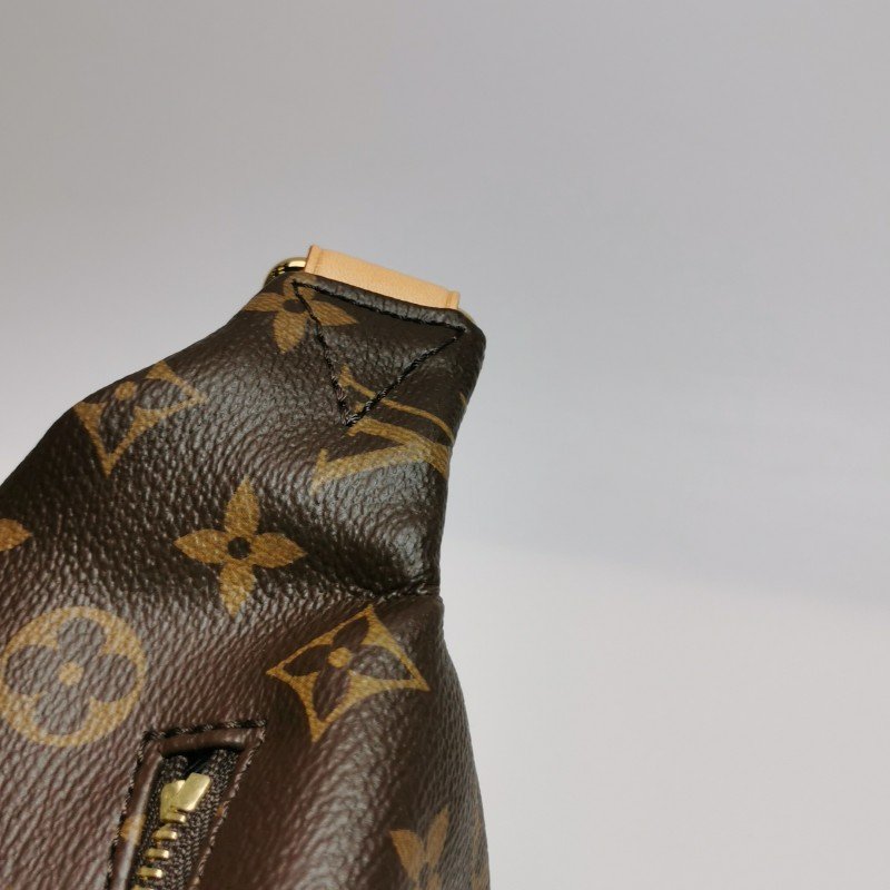 Louis Vuitton(LV)Bumbag植鞣老花Logo標誌腰包胸包晶片款-15