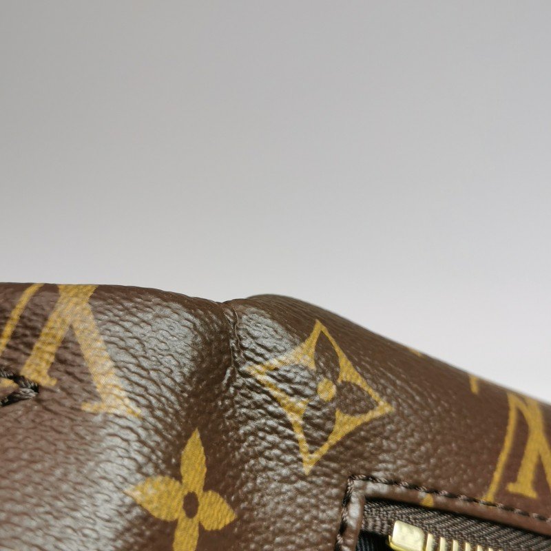 Louis Vuitton(LV)Bumbag植鞣老花Logo標誌腰包胸包晶片款-17